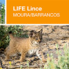 LIFE Lince Moura/Barrancos